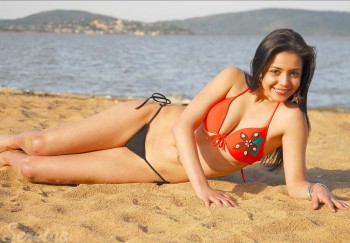 imagebam.com